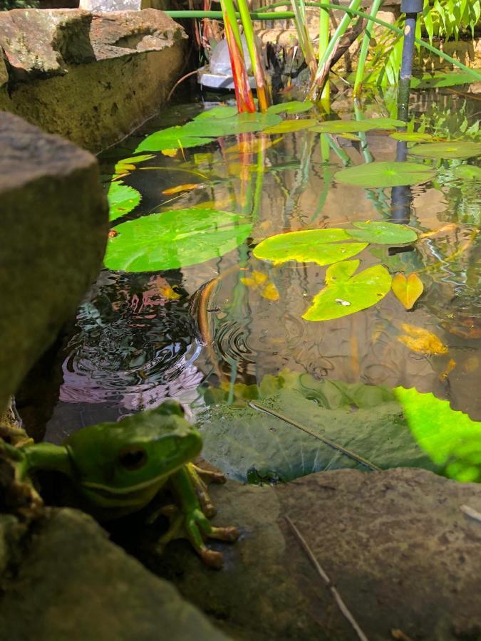 Whitsundays Bnb Retreat Эйрли-Бич Экстерьер фото